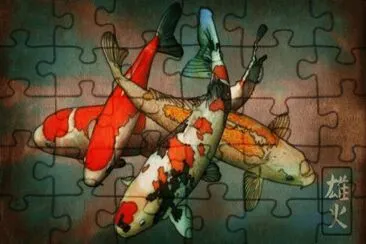 Koi Carps