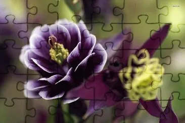 Purple Flower jigsaw puzzle