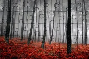 b jigsaw puzzle