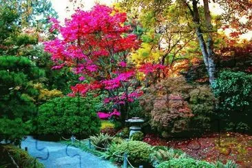 Colourful Garden jigsaw puzzle