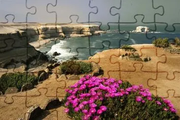 At the Beach Chili jigsaw puzzle