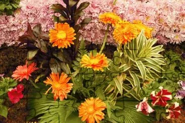 Colourful Flowers jigsaw puzzle