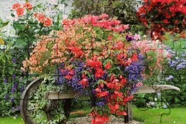 flor jigsaw puzzle