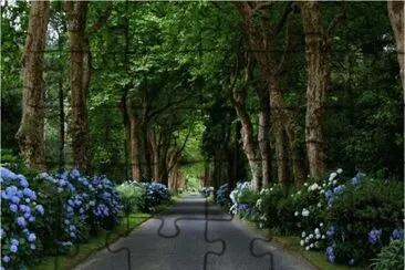 natureza