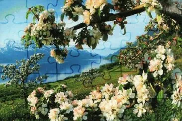 paisagem jigsaw puzzle