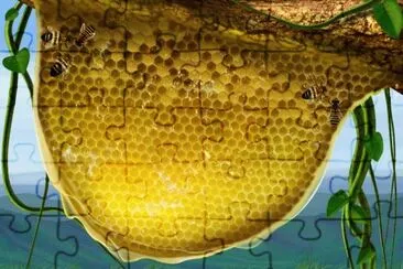 פאזל של Honeycomb