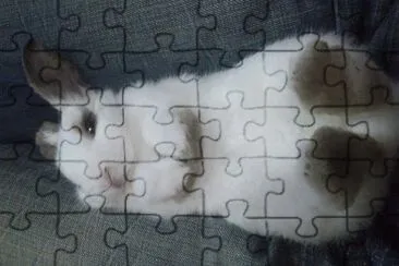 amywong26 jigsaw puzzle