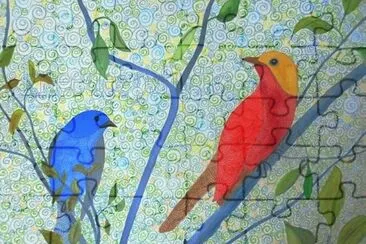 Birds