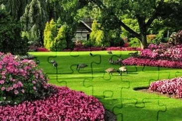 paisagem jigsaw puzzle