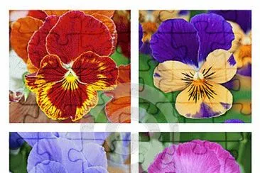 Foto jigsaw puzzle