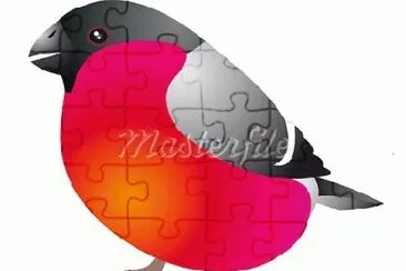 image jigsaw puzzle