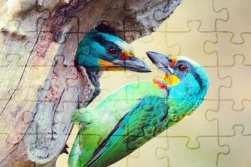 pÃ¡jaros de colores jigsaw puzzle