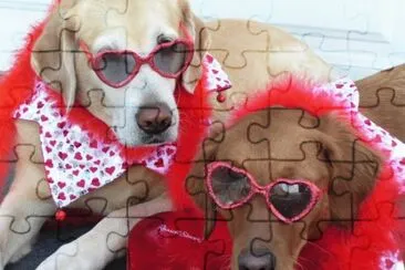 פאזל של Valentine Dogs at the Beach