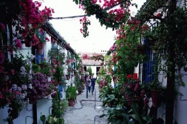 Colourful Street Andalucia  Spain jigsaw puzzle