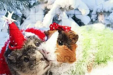 winter jigsaw puzzle
