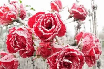winter jigsaw puzzle