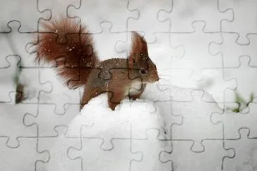 winter jigsaw puzzle