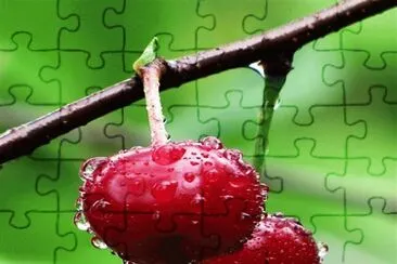 cerezas jigsaw puzzle