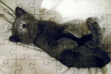 MARSU jigsaw puzzle