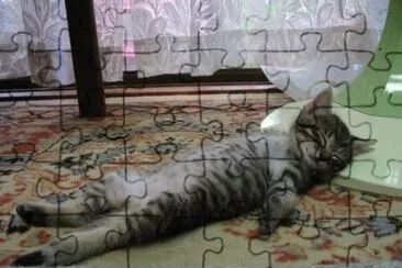 MARSU jigsaw puzzle
