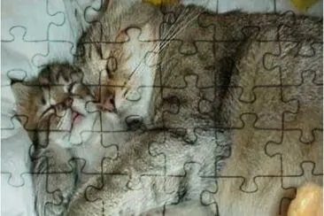 MARSU jigsaw puzzle