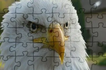 MARSU jigsaw puzzle