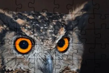 MARSU jigsaw puzzle