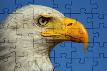 MARSU jigsaw puzzle