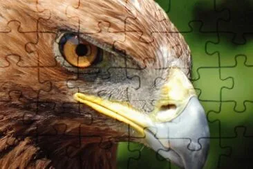 MARSU jigsaw puzzle