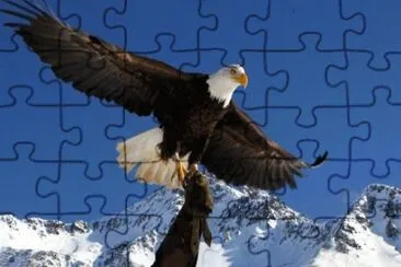 MARSU jigsaw puzzle