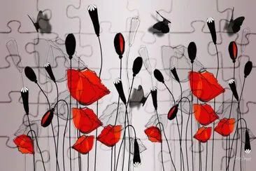 Poppies, shadow and Butterflies