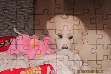 פאזל של Athos