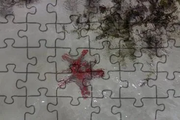 rep dominicana stella jigsaw puzzle