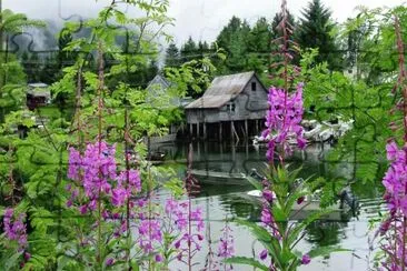 Home on the Water