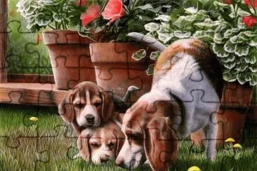פאזל של cÃ£es