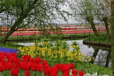 imagens jigsaw puzzle