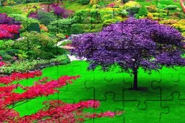 פאזל של imagens