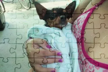 Pitty apÃ³s o banho