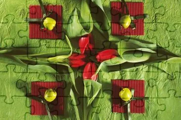 Artistic Flower and Fruit