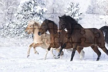 Running in the Snow