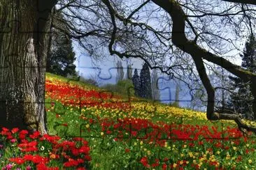 A day for a Walk