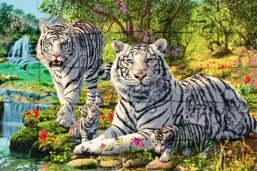 76663 jigsaw puzzle