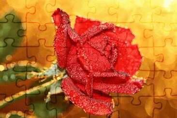 image jigsaw puzzle