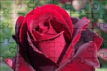 flor
