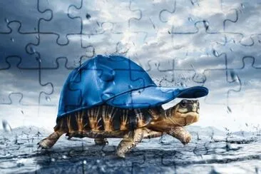 פאזל של Tortoise in the Rain