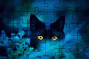 chat bleu jigsaw puzzle