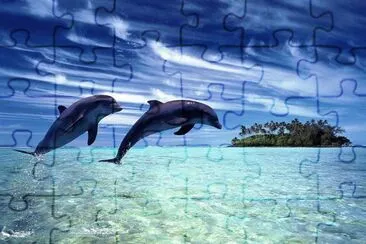 dauphins jigsaw puzzle