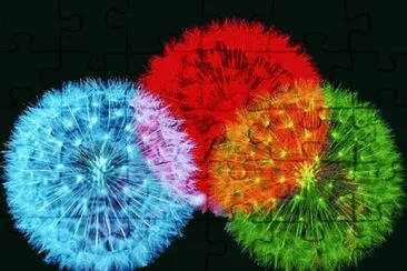 image jigsaw puzzle