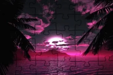 nuit rose