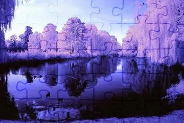 paysage